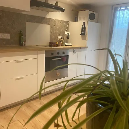 Apartment Le Carolo Tournes
